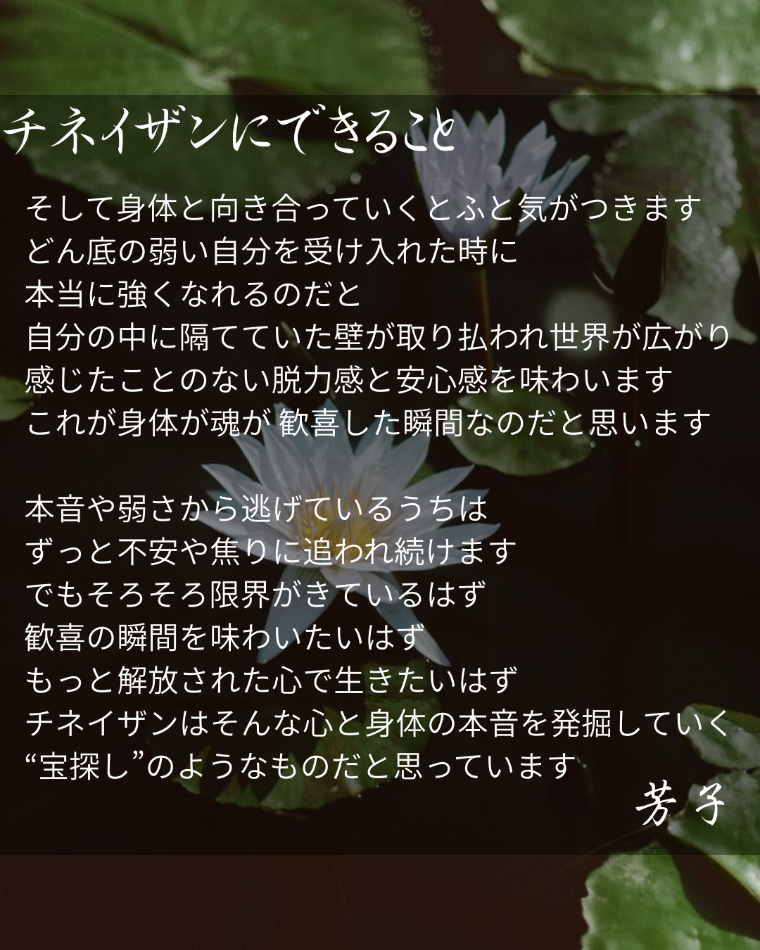 チネイザンにできることを説明する既存HP画像